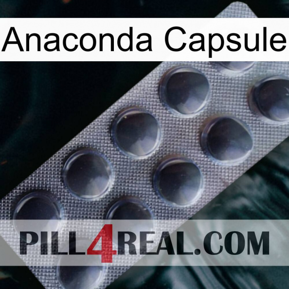 Anaconda Capsule 30.jpg